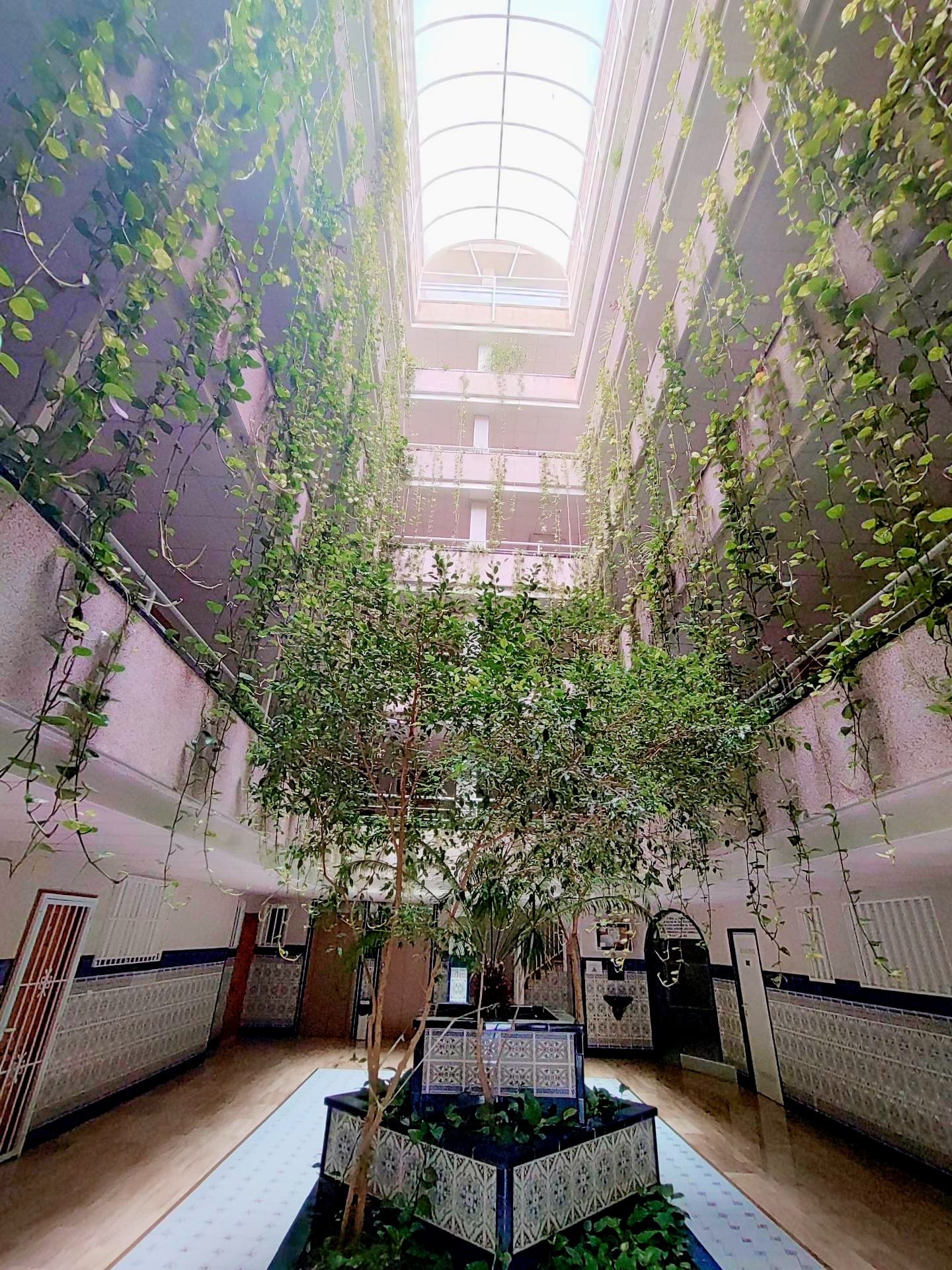 Akciós áron, 50 méterre a Playa del Cura strandtól, hangulatos apartman, Torreviejában!